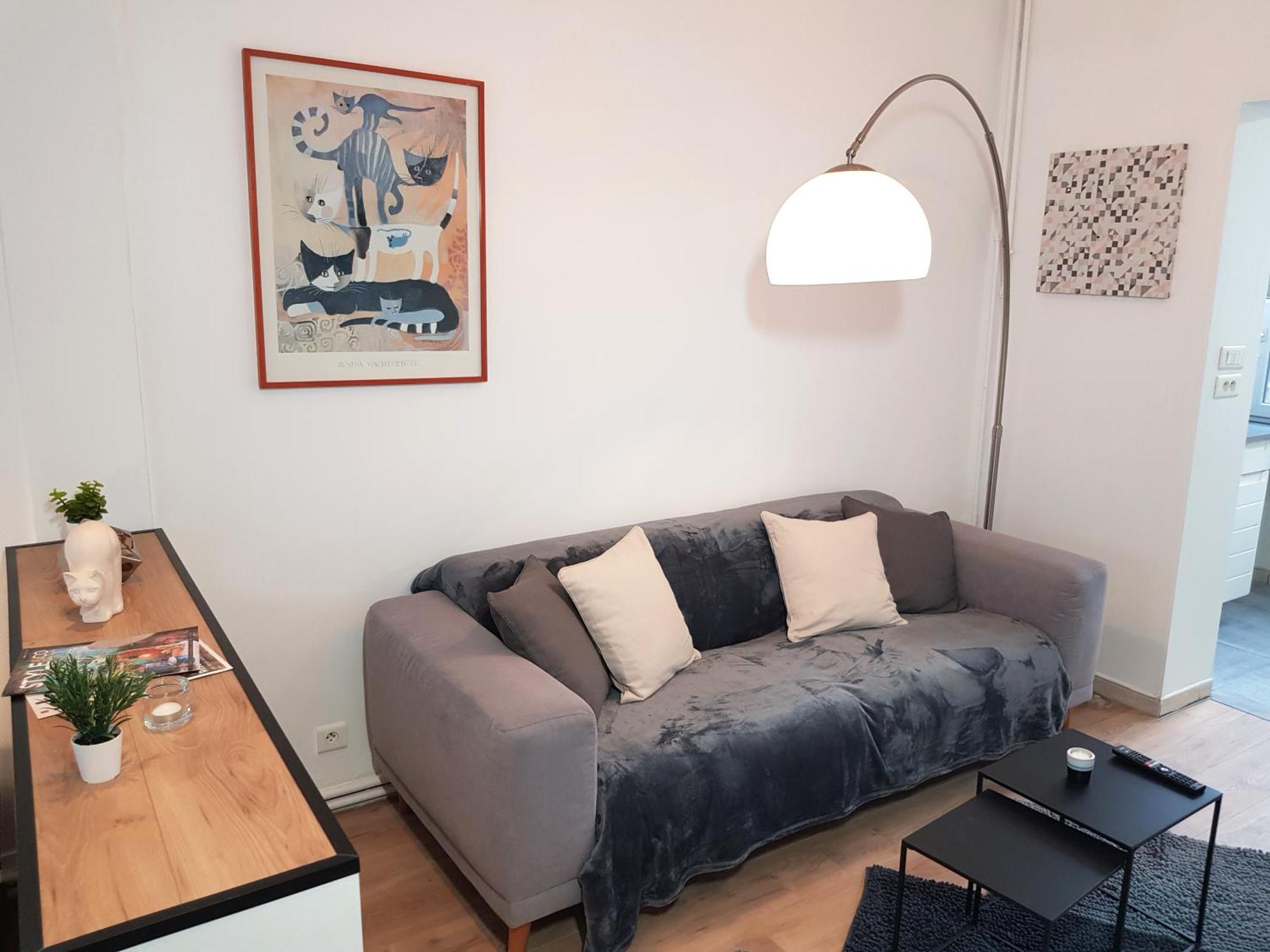 Le Chat D'Or - 35M2 - Terrasse - Bbq - Wifi Hd Amiens Exterior foto